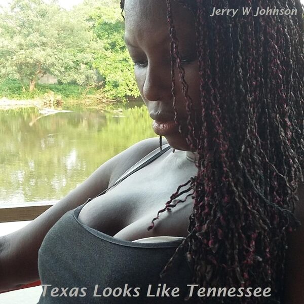 Cover art for Texas Looks Like Tennessee